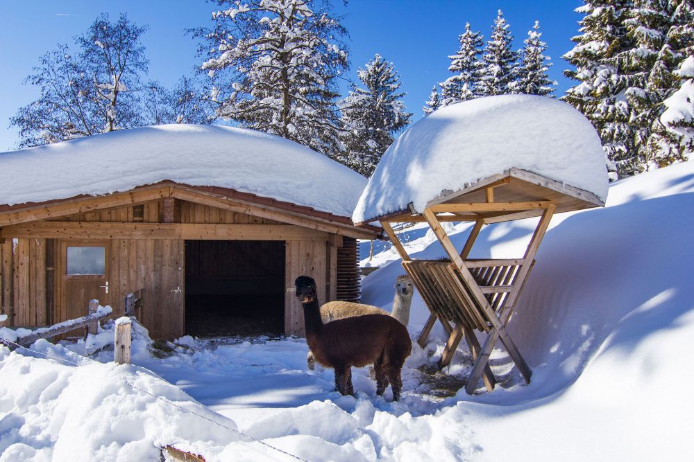 5.000 m² Outdoor-Spielbereich